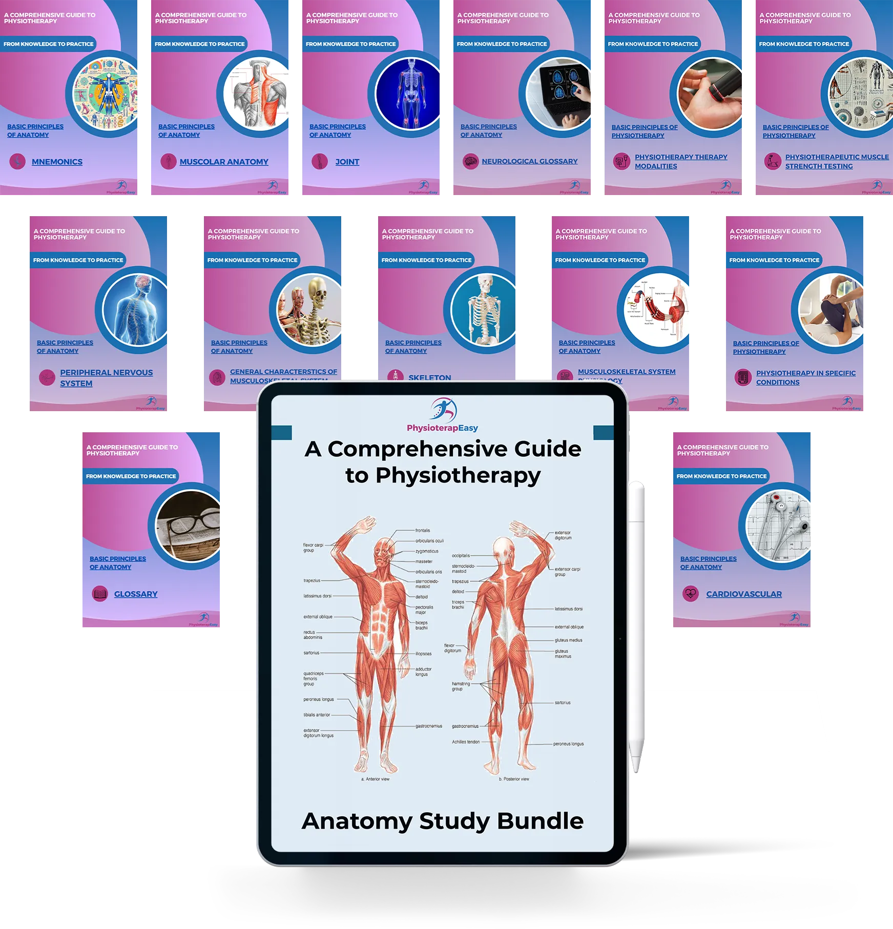 Physiotherapy Anatomy Study Bundle