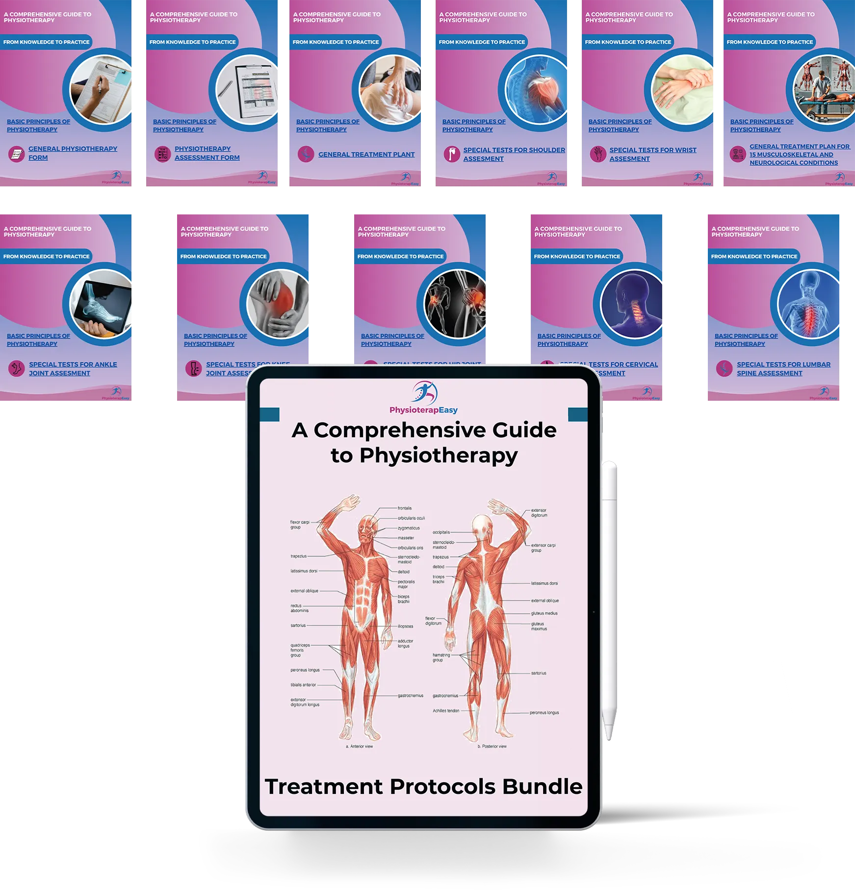 Physiotherapy Treatment Protocols Bundle